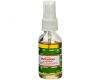 Satya Patchouli Air Freshener